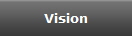 Vision