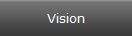 Vision